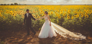 Newlyweds Walking through Sunflower Field